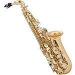 Alto Saxophone Supplies