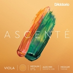 D'Addario Ascenté Strings for Viola