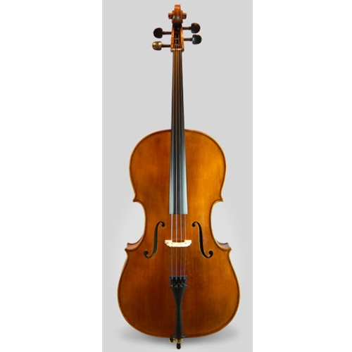 4/4 Samuel Shen Hybrid Cello